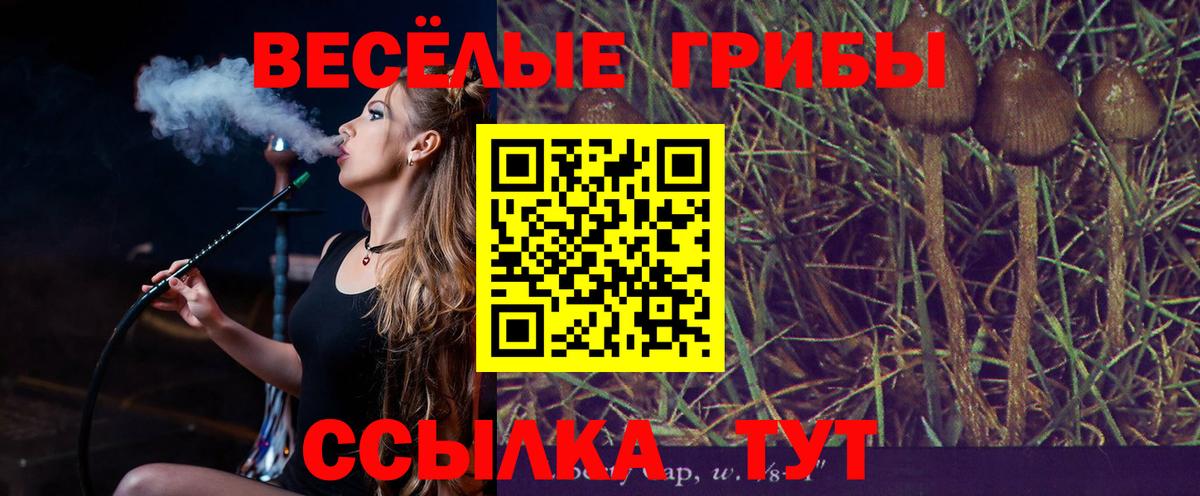 Заволжье  как найти наркотики  Вход с VPN  Галлюциногенные грибы прущие грибы 