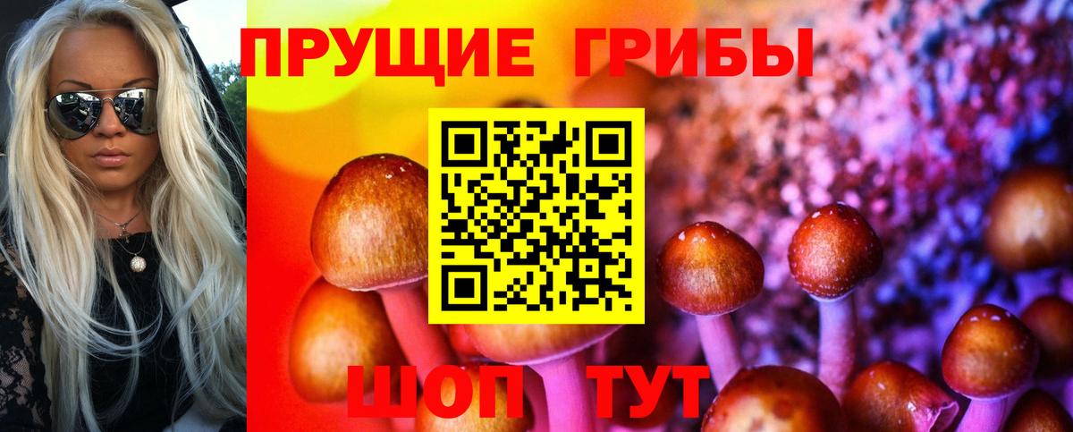 Псилоцибиновые грибы прущие грибы Заволжье